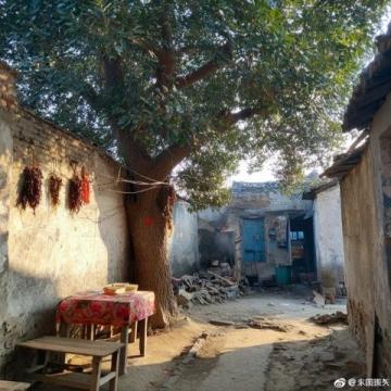 開封文旅爆火之后的冷思考:打通道路、加快節(jié)目編排及周邊道路建設(shè)等