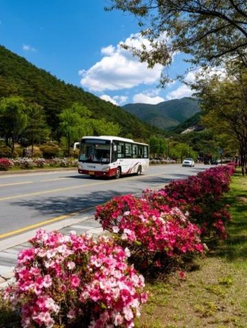 M425路公交:連接深圳沙田機場與惠州天虹的兩個月體驗之旅