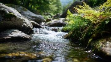 山澗“紅寶石”誘人浦北縣大力發展紅椎菌產業助農增收