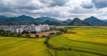 惠州市麥地片區:全面解析發展概覽