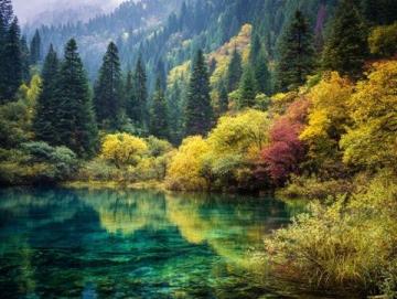 九寨溝一日游:奇幻探險之旅,開啟你的山水童話之旅