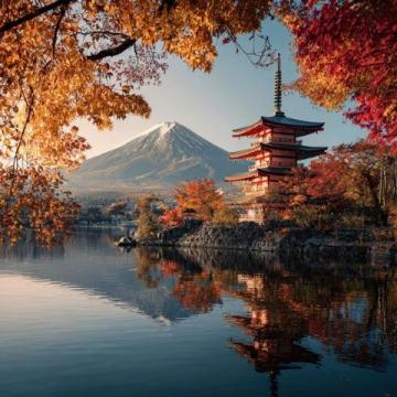 14日游日本篇·第三天