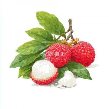 揭秘:楊貴妃為何對(duì)荔枝情有獨(dú)鐘?