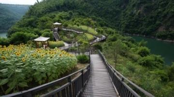 回味海南島之旅:難忘的美食與9天騎行體驗