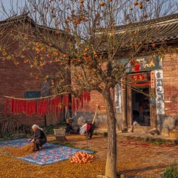 潯埔村簪花 美食與幸福之旅