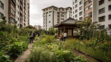 杭州最幸運拆遷村：三次變遷見證未來科技城崛起