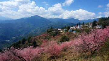 鞍山千山梨花節：非遺與美食盛宴，領略地域風情