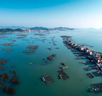廣東省陽江市的濱海旅游線路,都集中建好、寬闊、美觀地分布在三處地方!