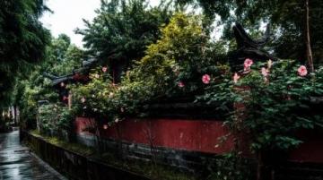 蘇州3天6晚游玩攻略,帶你暢游園林之美