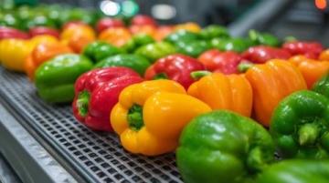 十大食品安全小常識,字數在10到40個字之間。