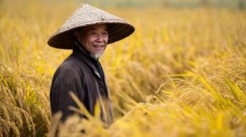 中國(guó)各地玉米方言稱呼:從“棒子”到“苞谷”的鄉(xiāng)土文化地圖
