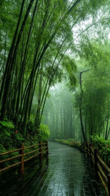 武功山:雨后的艱難抉擇