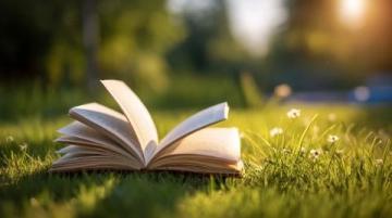 夏日抄寫打卡記第73天書，抄書，抄好書,本，讀本，讀好本。書本書本是知識(shí)