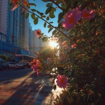 深圳旅游攻略:景點、美食和住宿推薦!