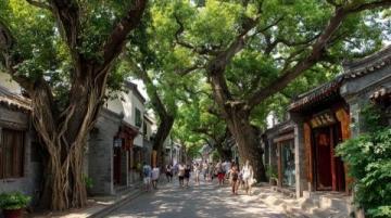 帶娃游長沙:避開人群慢享老街巷與文化風情