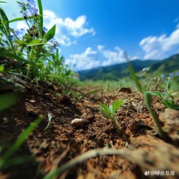 金牛道徒步旅行最佳季節(jié)及行程推薦