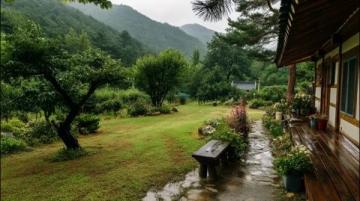 樊俊的高山農場:從藥材種植到生態養殖的致富之路