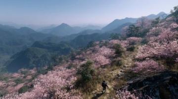 安徽春季旅游必看景點(diǎn)攻略:黃山三天游自駕游注意事項(xiàng)美食推薦