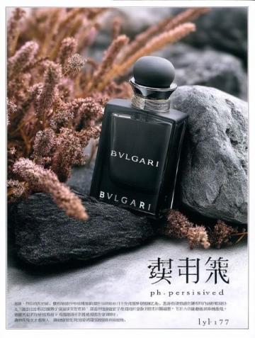 情寄嵊州香榧