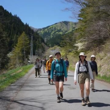 襄陽春日逃離計劃：與山野來一場浪漫邂逅
