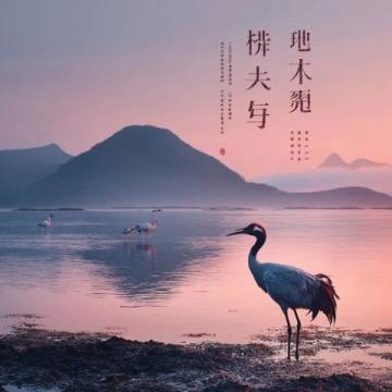 威海旅行必去景點及拍照技巧揭秘，避開這些雷區讓你的旅程更完美