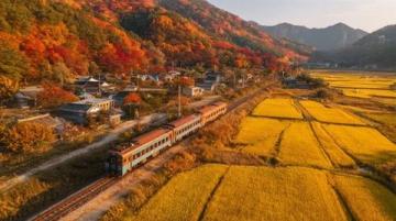 鐵路運輸的主要樞紐,被譽為南北通衢,燕晉咽喉,發達的交通網絡