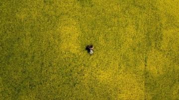 江南秘境:藏于古村中的油菜花海等你來探秘