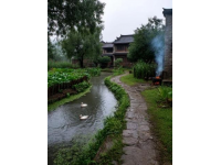 肇慶高要區南岸街道江口社區：西江畔的傳統漁村美食之旅