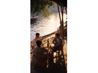 夏意融融鶴峰楓景，尋覓清涼好去處