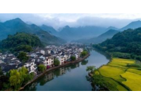 江西秘境之旅：人均800元揭秘婺源、廬山與景德鎮隱藏美景