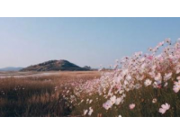 羊臺山——口福與藝術的交匯之地