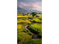 西雙版納3天2夜自由行攻略：首選景點(diǎn)、交通指南、住宿推薦等.