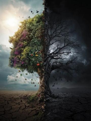 被誤解半生的常識(shí)：重新審視生活中的真理與誤區(qū)