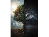 被誤解半生的常識(shí)：重新審視生活中的真理與誤區(qū)