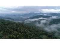 這里高達95%的森林覆蓋率，空氣格外清新