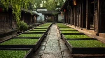 探索成都洛帶古鎮(zhèn):千年客家文化的魅力之旅