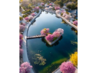 春天必游：英雄城南昌的花海湖光，22℃柔情等待您的心動瞬間