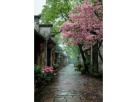烏鎮(zhèn)旅行攻略一文全搞定