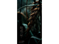 掌握農業諺語：立秋雨水喜，處暑雨憂愁