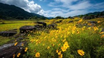 大理三日游:慢享風(fēng)花雪月間的詩意時(shí)光