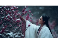 大理三日游：慢享風花雪月間的詩意時光
