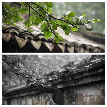 春寒雨冷，烏鎮東柵匆匆一游
