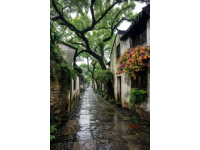 廣東順德：世界美食之都的魅力與金榜街的古今交融之旅