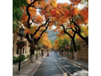 海南三日游攻略：騎樓老街、文昌航天城、潭門(mén)南海風(fēng)情小鎮(zhèn)等必去景點(diǎn)