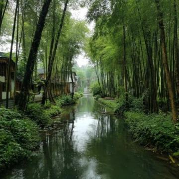 獨游廣東佛山清暉園，感受嶺南園林之美！