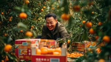 山東2025年倒春寒來襲:智能技術助力抗災保春耕
