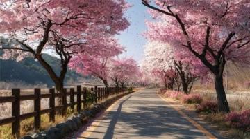 春風吹拂，杏花爛漫綻放