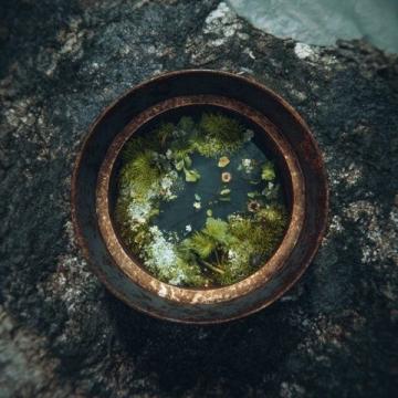 夏日清爽午餐:米粥配小炒,家的味道盡在這一碗