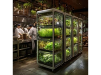 上海盒馬天空農(nóng)場商場8樓的蔬菜工廠