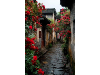 
山東夏日漫步：發(fā)現(xiàn)老街新韻，解鎖美好時光之旅